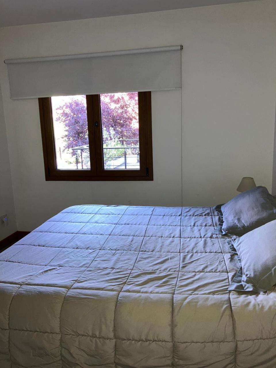 Comodo Departamento Centrico En Сан-Мартин-де-лос-Андес Экстерьер фото